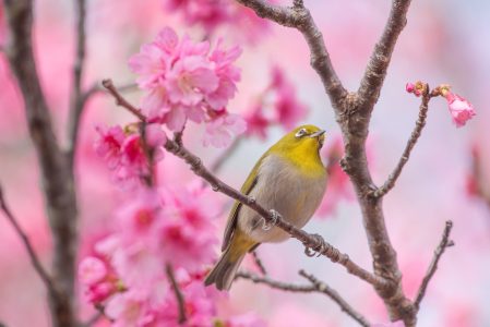1-292若松千裕(東京七島新聞社・最優秀賞)