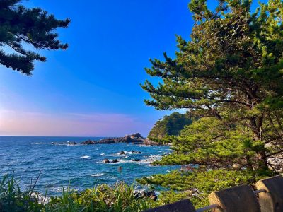 12-20坂本郁実(七島信用組合・神津島賞)