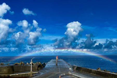 14-118渡邊優花(七島信用組合・御蔵島賞)