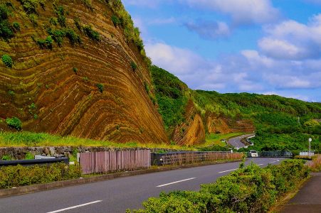 8-85山田晴之(七島信用組合・大島賞)